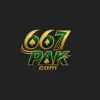 667PAK Game