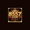 8557 Game